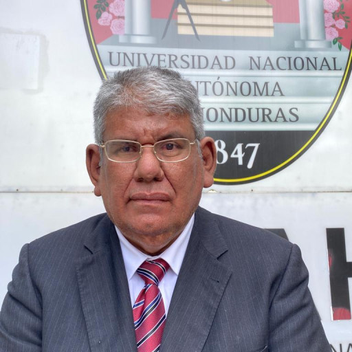 JESUS SANTIAGO SAYBE ROMERO